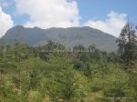 Elephant Hill picture-047