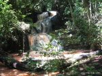 Karura Forest img_4677