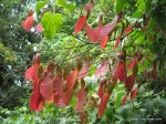 Ol Donyo Sabuk img_3406