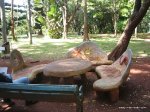 Nairobi Arboretum img_5139