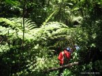 Gatamaiyu Riverine Walk img_5524