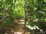 Oloolua Nature Trail nature-trail