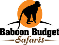 baboon-budget-logo