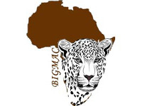 Bigmac Africa Safaris logo