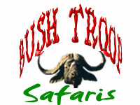 bushtroop logo