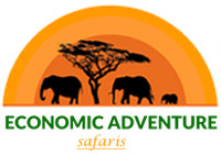 economicadventuresafaris logo