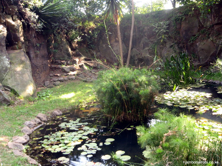 Nairobi Botanical Garden